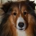 Profile Picture of Debbie Falk (@debbie.falk.5) on Facebook