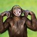 Profile Picture of Sharon Huling (@mineo005) on Pinterest