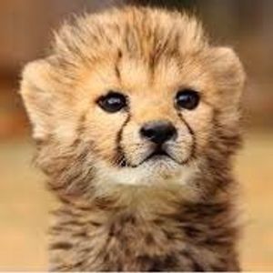 Profile Picture of Madison Hinson (@madisonjay955) on Myspace