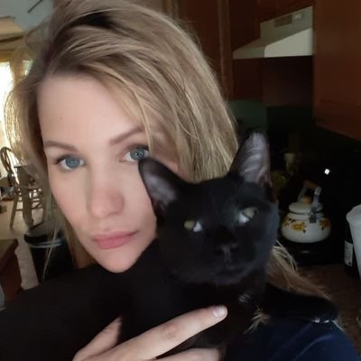 Profile Picture of I Run A Cat Charity No One Donates To 😿 (@youreschmoopie) on Twitter