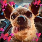 Profile Picture of Michael Moppin (@michael.moppin.56) on Facebook