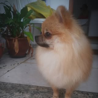 Profile Picture of spitz.benjamin (@spitz.benjamin) on Instagram
