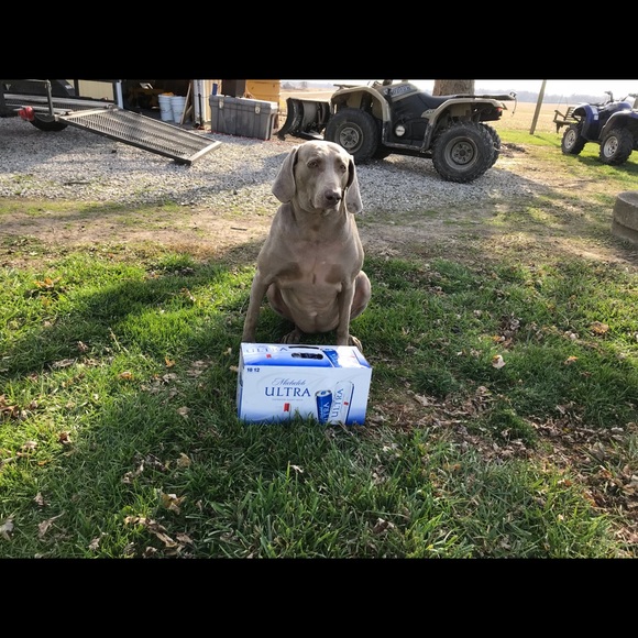 Profile Picture of Jason Mckinney (@mckinney879) on Poshmark