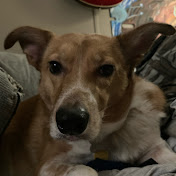 Profile Picture of Damien Thornton (@damienthornton2500) on Youtube