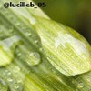 Profile Picture of Lucille Brown (@@lucilleb_85) on Tiktok