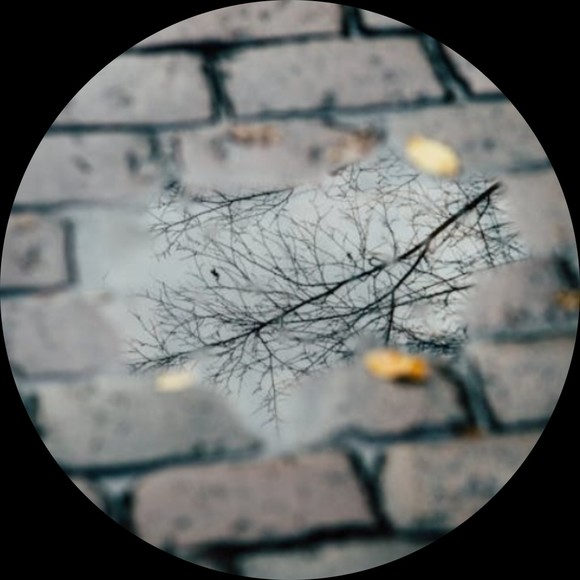 Profile Picture of Vickey Robertsom (@robertsom95445) on Poshmark