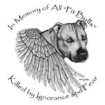 James Kestler - Instagram Profile Picture of James Kestler (@kestler13) on Instagram