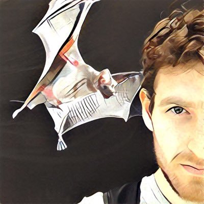 Profile Picture of Alex Sosnovshchenko (@StecOverflow) on Twitter