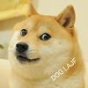 Profile Picture of Adam Karczewski (@pawikoeytroll) on Tiktok