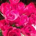 Profile Picture of Julia Sims (@jsims76) on Pinterest