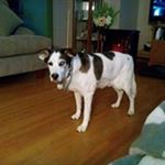 Profile Picture of Lisa Dawn Reynolds-Noland (@reynoldsnoland) on Instagram