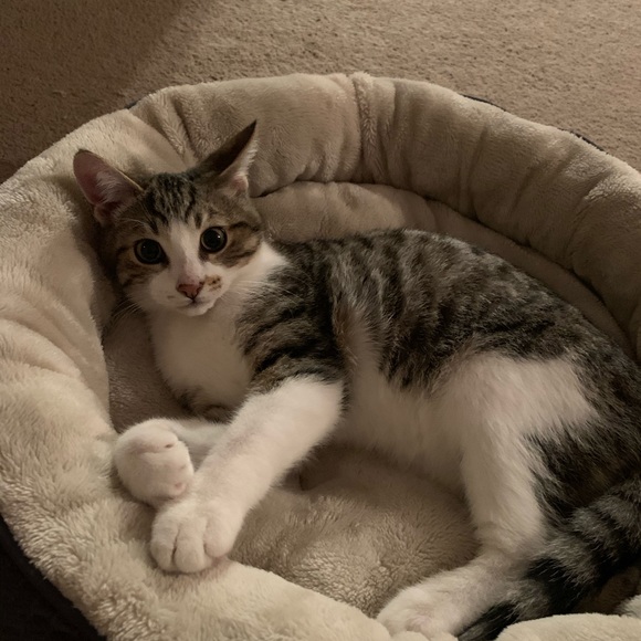 Profile Picture of Raegan Hamic (@raeganh7) on Poshmark