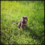 Profile Picture of Ian Givens (@localeatdot) on Instagram