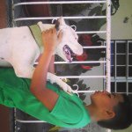 Profile Picture of Ian Morales (@yankeelaloca) on Instagram