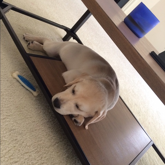 Profile Picture of Danielle Mahler (@dnrizzo) on Poshmark