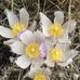 Profile Picture of Brenda Peterson (@brenda.peterson.5872) on Facebook