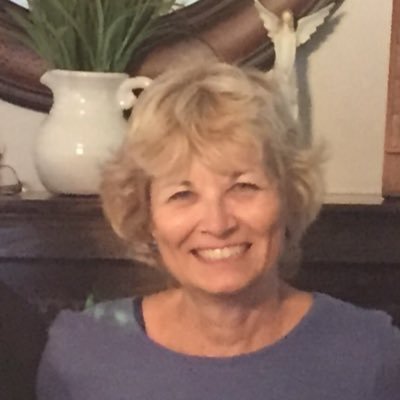 Profile Picture of Diane Spring (@DianeSpring47) on Twitter