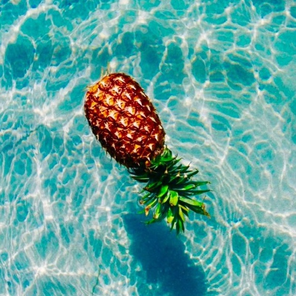 Profile Picture of Katelyn Wheeler (@flower797) on Poshmark