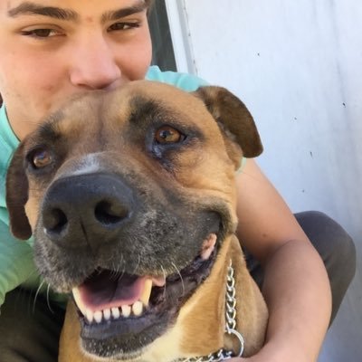 Profile Picture of Jacob Gifford (@JacobGifford6) on Twitter