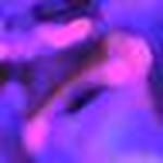 Profile Picture of Gbyte (@gbyte) on Flickr