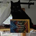 Profile Picture of Aimee Ford Conner (@laceknits) on Instagram