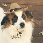 Profile Picture of Shirley Bloom (@busykid7) on Instagram