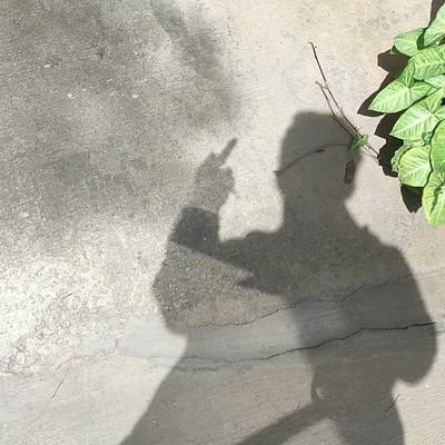 Profile Picture of Dylan Augustine (@skiddyl11) on Twitter