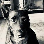 Profile Picture of Jessica Congemi (@jesscongemi) on Instagram