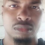 Profile Picture of Great Ape Entertainment (@greatapeent) on Instagram