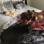 Profile Picture of Mari, Mia, & Knox Ruiz-O’Neal (@kandmgomia) on Instagram