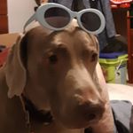 Christian Vazquez - Instagram Profile Picture of Christian Vazquez (@chris.vazquez04) on Instagram