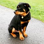 Profile Picture of Steve Fulton (@stephenjfulton) on Instagram