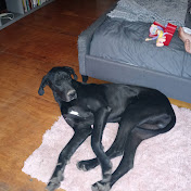 Profile Picture of Michael Lytle (@michaellytle91) on Youtube