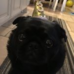 Profile Picture of Brad Bankhead (@bradbankhead26) on Instagram