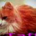 Profile Picture of Paula Carlberg (@paula.carlberg.9) on Facebook
