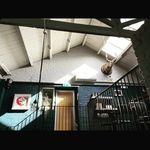 Profile Picture of David Coulson (@peaceandloafjes) on Instagram