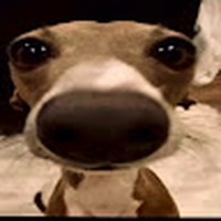 Profile Picture of Sebastian Reyna (@sebastian-reyna-17) on Quora