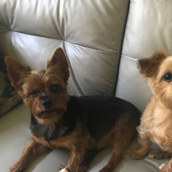 Profile Picture of Lori Mannello (@lorisuz) on Poshmark