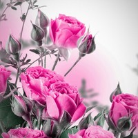 Profile Picture of Olivia Bender (@olivia-bender-2) on Quora