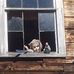Profile Picture of Jonathan Tower (@jonathan.tower.54) on Facebook