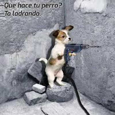 Profile Picture of Patrick Codina Tello (@patrickcodinate) on Twitter