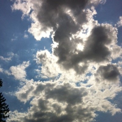 Profile Picture of Greg Hedges (@gudyerd) on Twitter