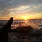 Akeem Joseph - Instagram Profile Picture of Akeem Joseph (@akeem.joseph.75) on Instagram