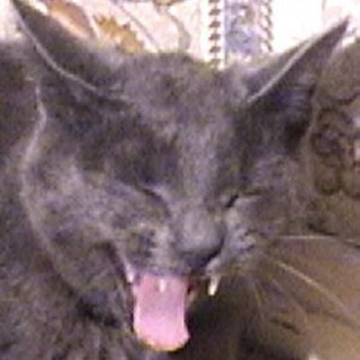 Profile Picture of Frank Maschkowski (@injusticeusa) on Twitter