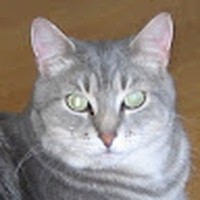 Profile Picture of Michael Fejes (@michael-fejes-1) on Quora