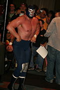 Profile Picture of Blue Demon Jr.on Wikipedia