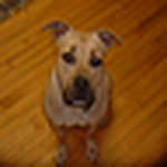 Profile Picture of Melba Finklebottom (@wehttamiztim) on Flickr