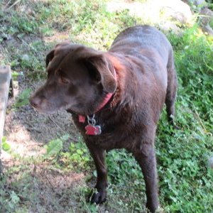 Profile Picture of John Hirsch (@JohnHir33504335) on Twitter