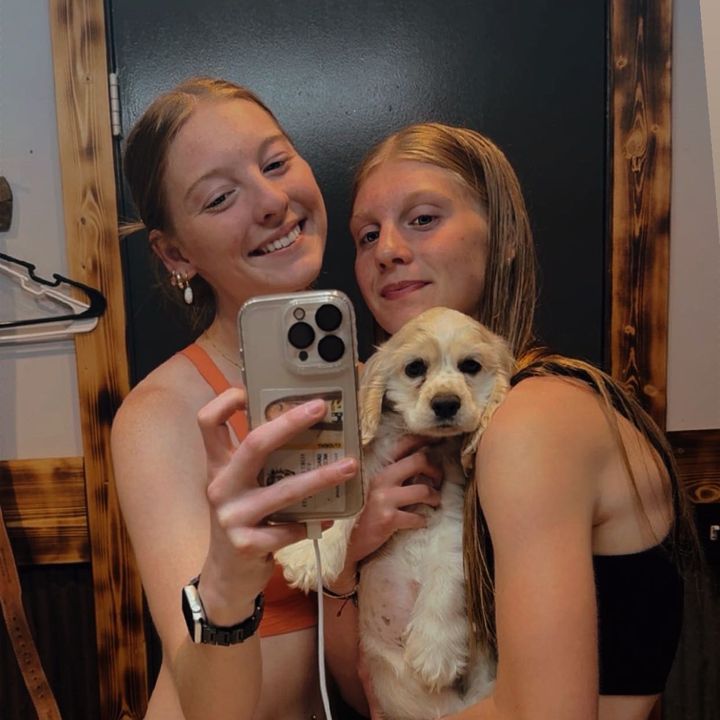 Profile Picture of Kinslie McDorman (@kinslie.mcdorman) on Tiktok