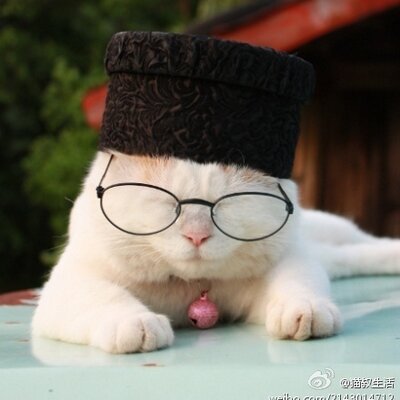 Profile Picture of Echo Lau (@echolau07) on Twitter